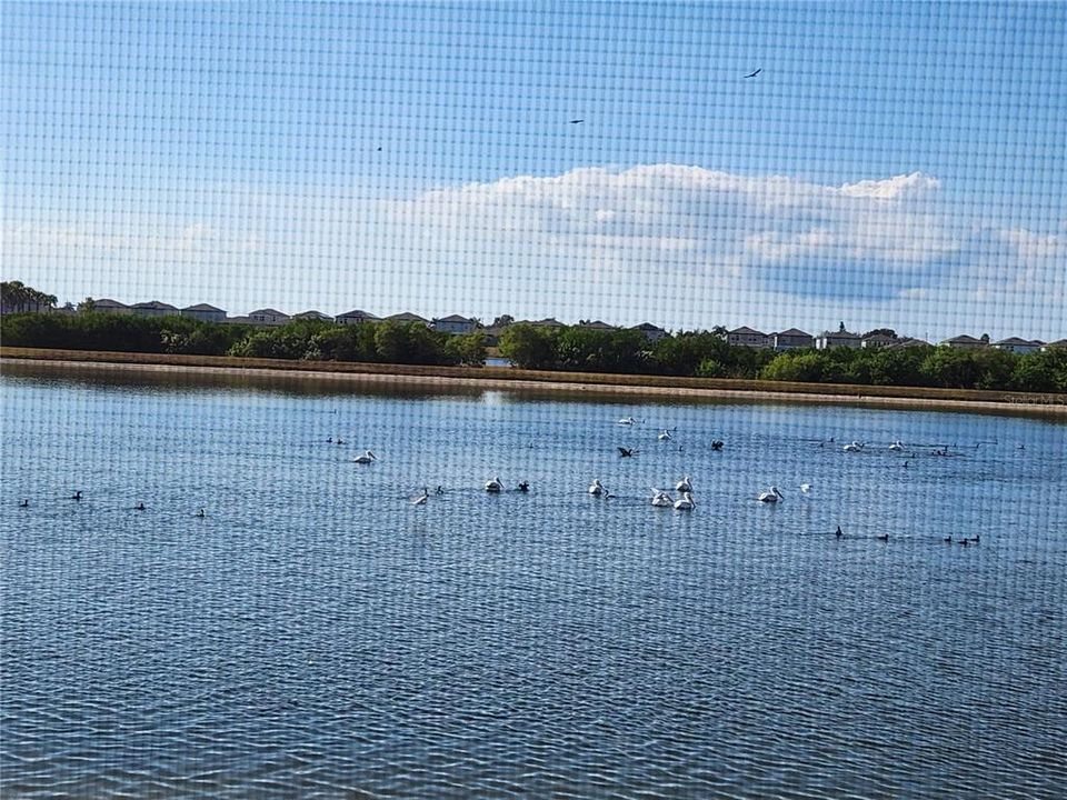 На продажу: $309,500 (3 спален, 2 ванн, 1451 Квадратных фут)