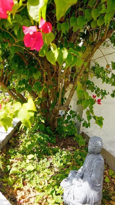 For Sale: $515,000 (3 beds, 2 baths, 1377 Square Feet)