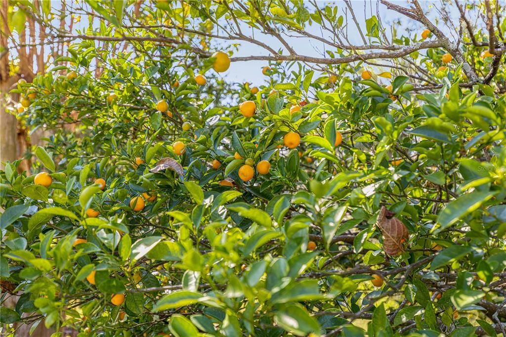 待售: $249,999 (2 贝兹, 2 浴室, 1682 平方英尺)