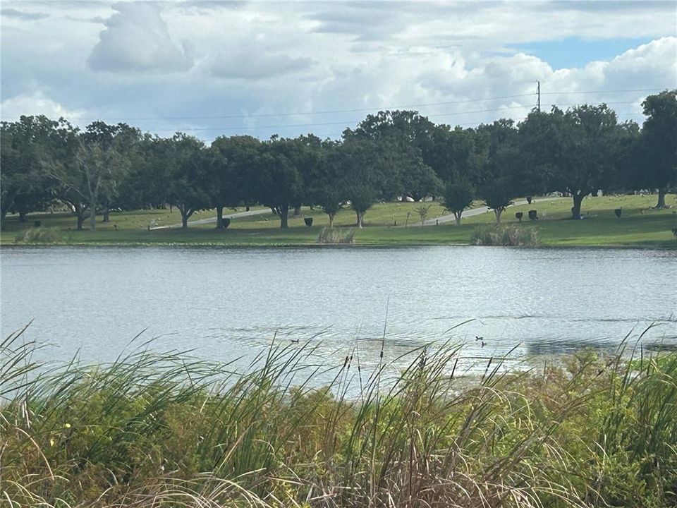 待售: $289,000 (0 贝兹, 0 浴室, 944 平方英尺)