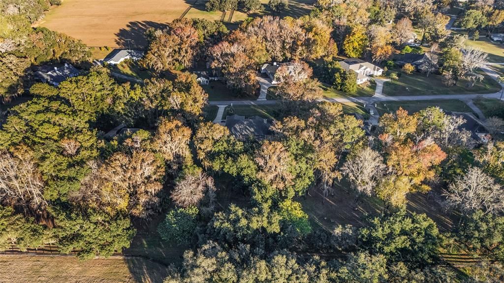 待售: $625,000 (4 贝兹, 3 浴室, 2900 平方英尺)