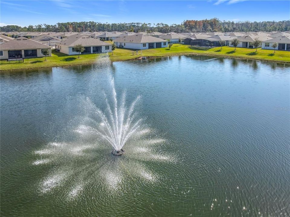 待售: $350,000 (2 贝兹, 2 浴室, 1646 平方英尺)