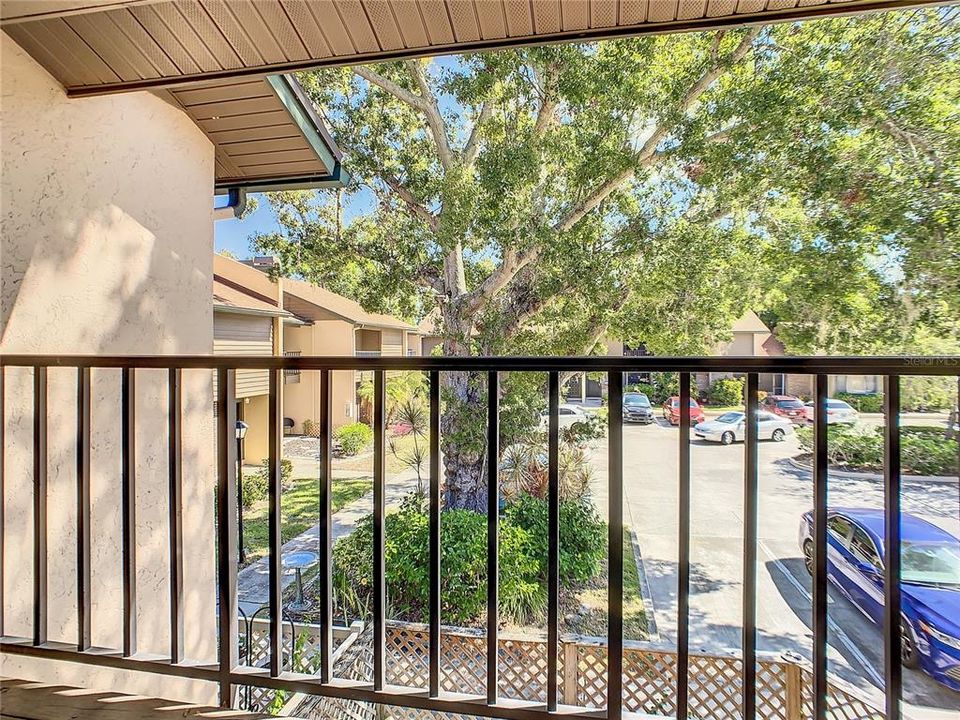 出租: $1,795 (3 贝兹, 2 浴室, 1545 平方英尺)