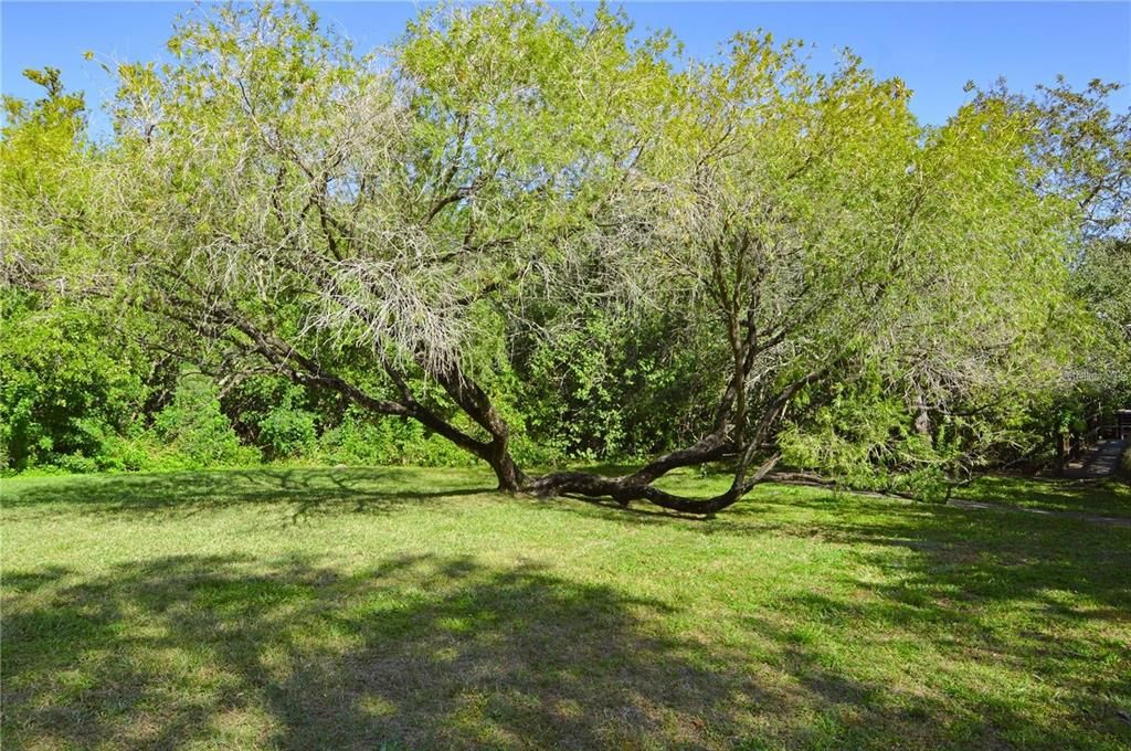 For Rent: $1,600 (2 beds, 1 baths, 1000 Square Feet)