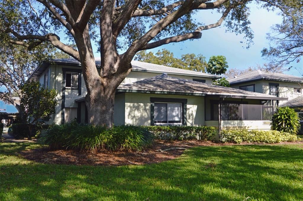 For Rent: $1,600 (2 beds, 1 baths, 1000 Square Feet)