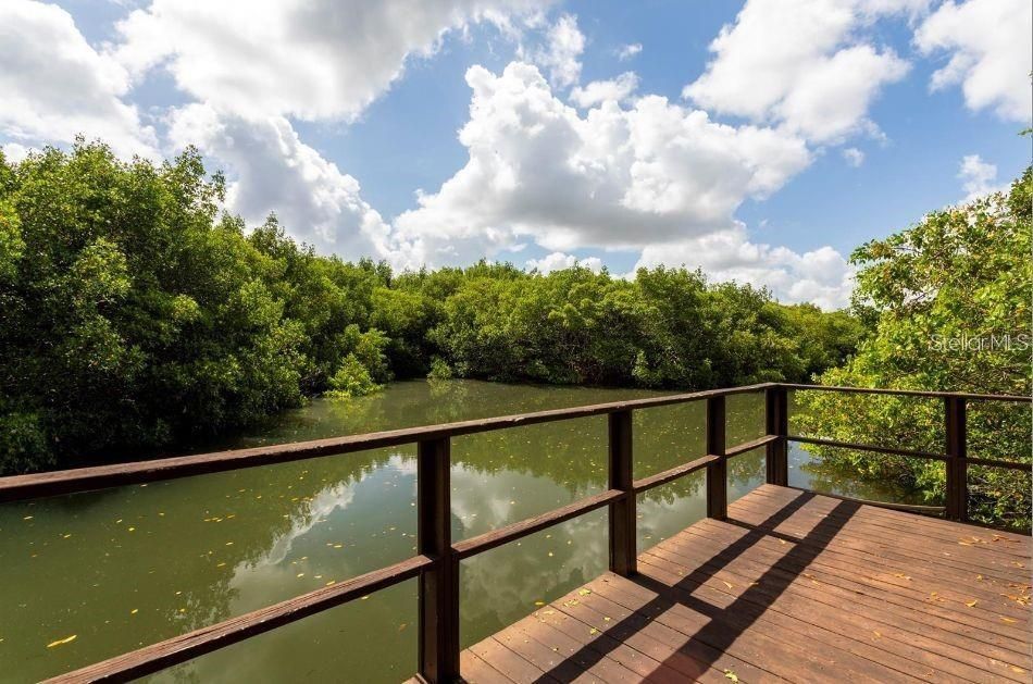 For Rent: $1,600 (2 beds, 1 baths, 1000 Square Feet)