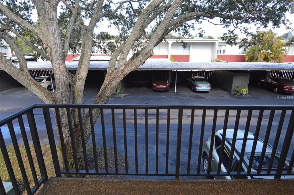 For Rent: $1,600 (2 beds, 1 baths, 1000 Square Feet)