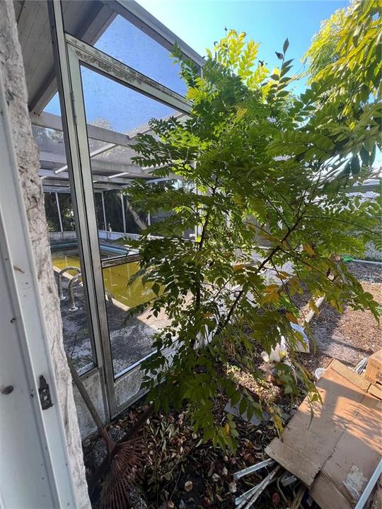 Activo con contrato: $210,000 (2 camas, 2 baños, 1350 Pies cuadrados)