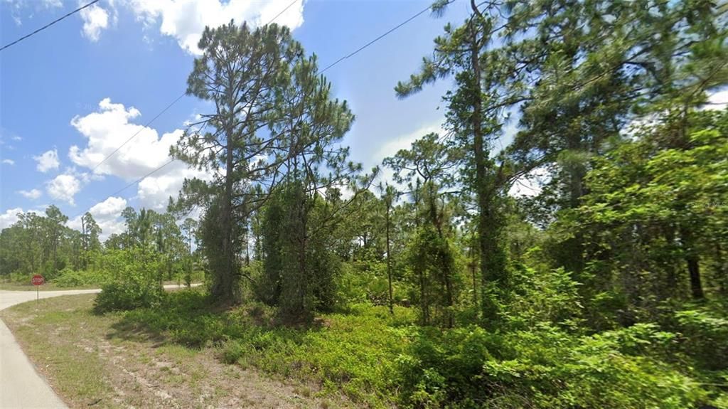 For Sale: $26,900 (0.30 acres)