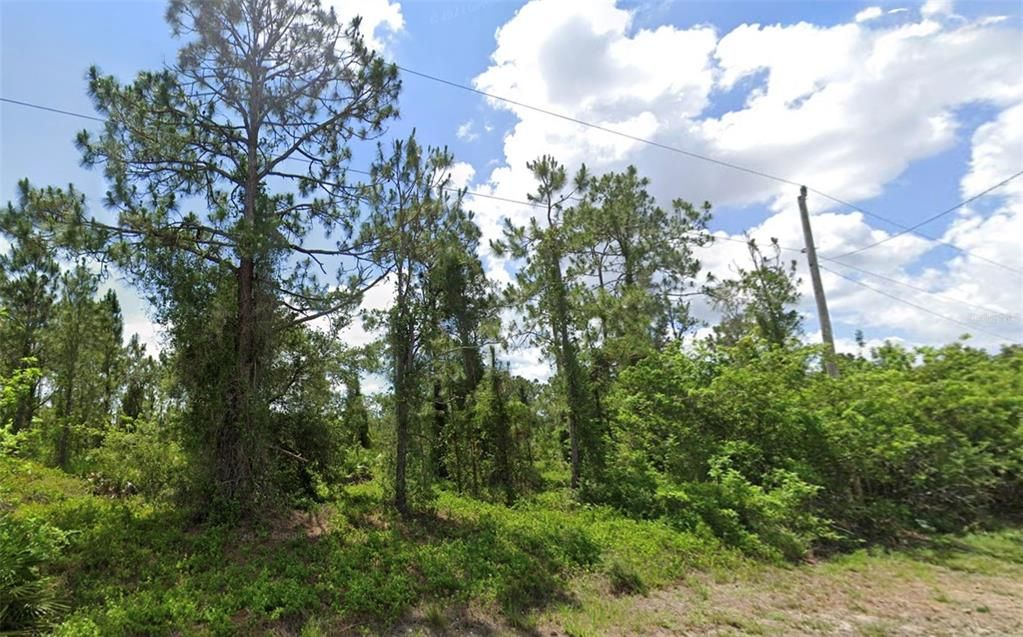 For Sale: $26,900 (0.30 acres)