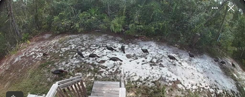 待售: $249,000 (3 贝兹, 2 浴室, 1512 平方英尺)