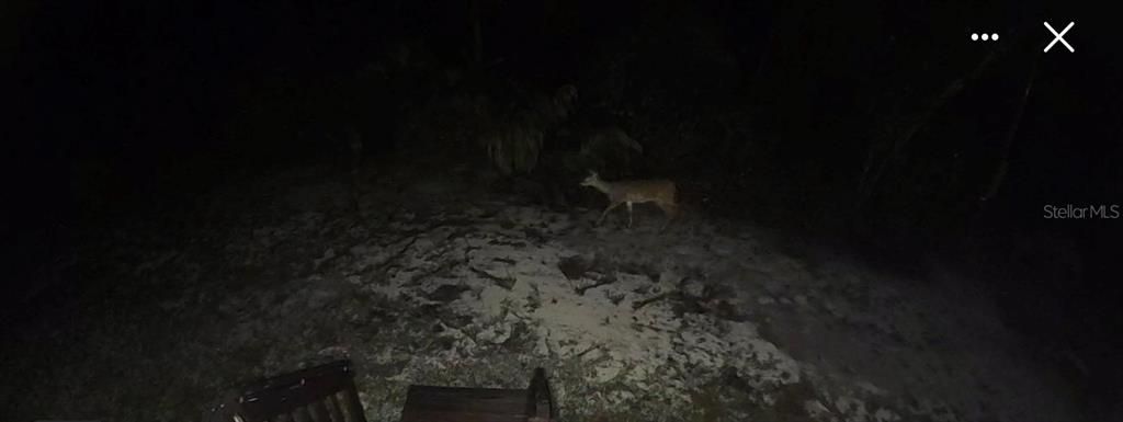 待售: $249,000 (3 贝兹, 2 浴室, 1512 平方英尺)