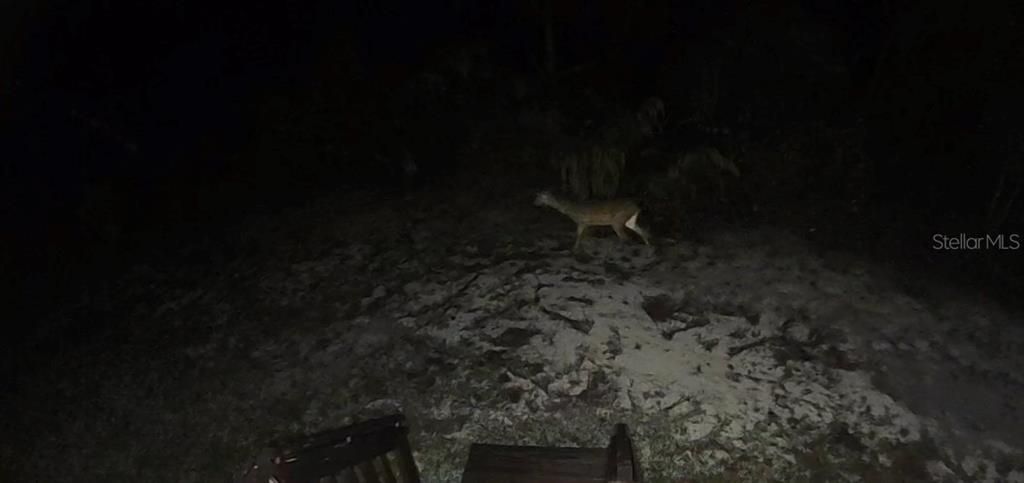 待售: $249,000 (3 贝兹, 2 浴室, 1512 平方英尺)