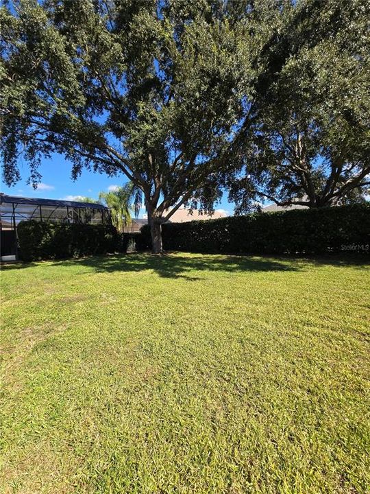 For Rent: $3,100 (4 beds, 2 baths, 2579 Square Feet)