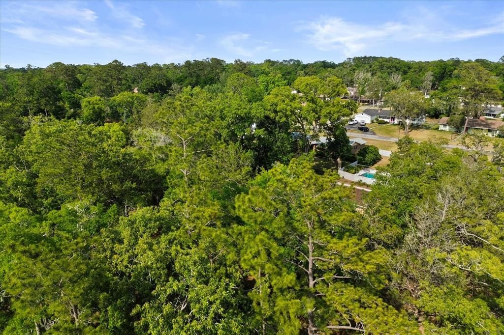 For Sale: $319,000 (3 beds, 2 baths, 2167 Square Feet)