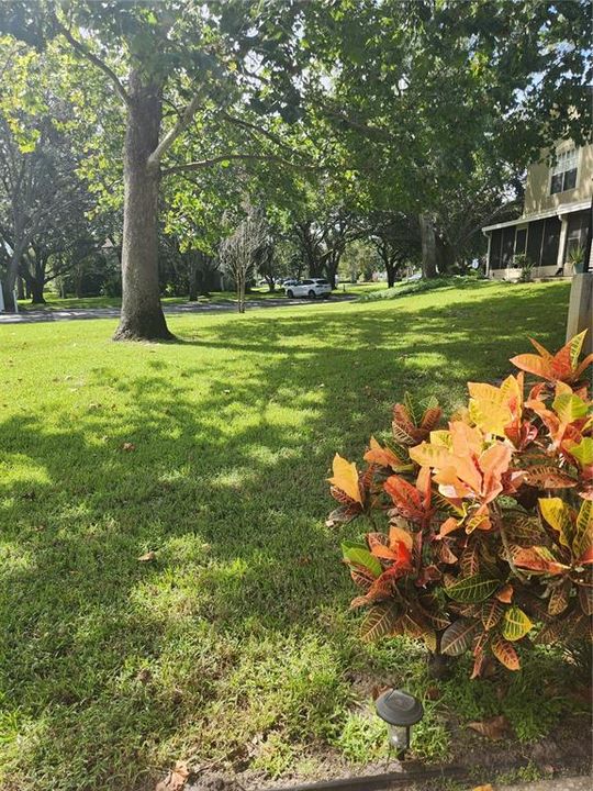 For Rent: $2,100 (2 beds, 1 baths, 1150 Square Feet)