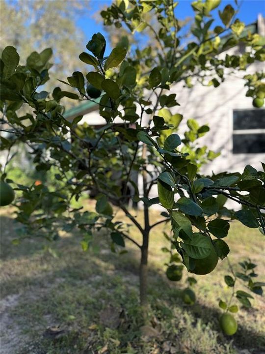 For Sale: $329,900 (2 beds, 2 baths, 1413 Square Feet)