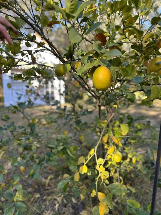 For Sale: $329,900 (2 beds, 2 baths, 1413 Square Feet)