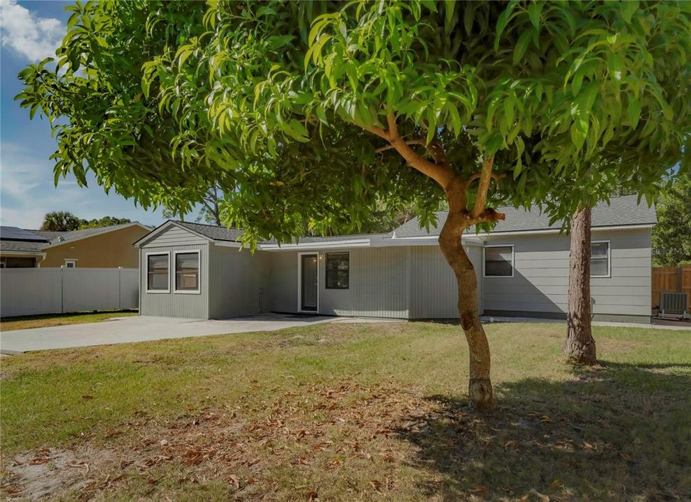 出租: $3,000 (4 贝兹, 2 浴室, 1344 平方英尺)