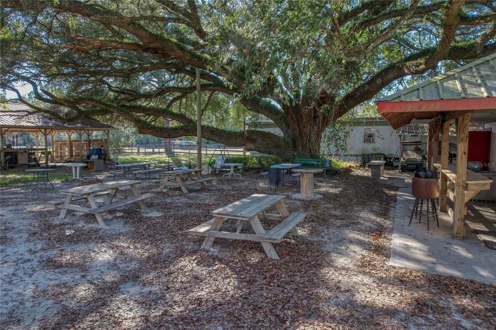 For Sale: $450,000 (0 beds, 0 baths, 2320 Square Feet)