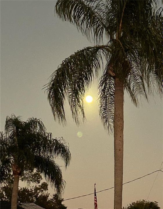 待售: $439,000 (3 贝兹, 2 浴室, 1711 平方英尺)