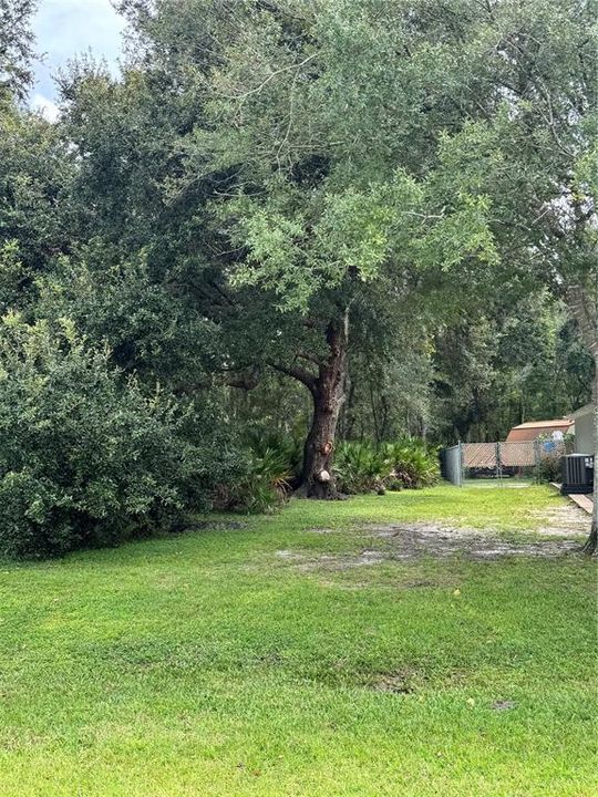 待售: $65,000 (0.39 acres)