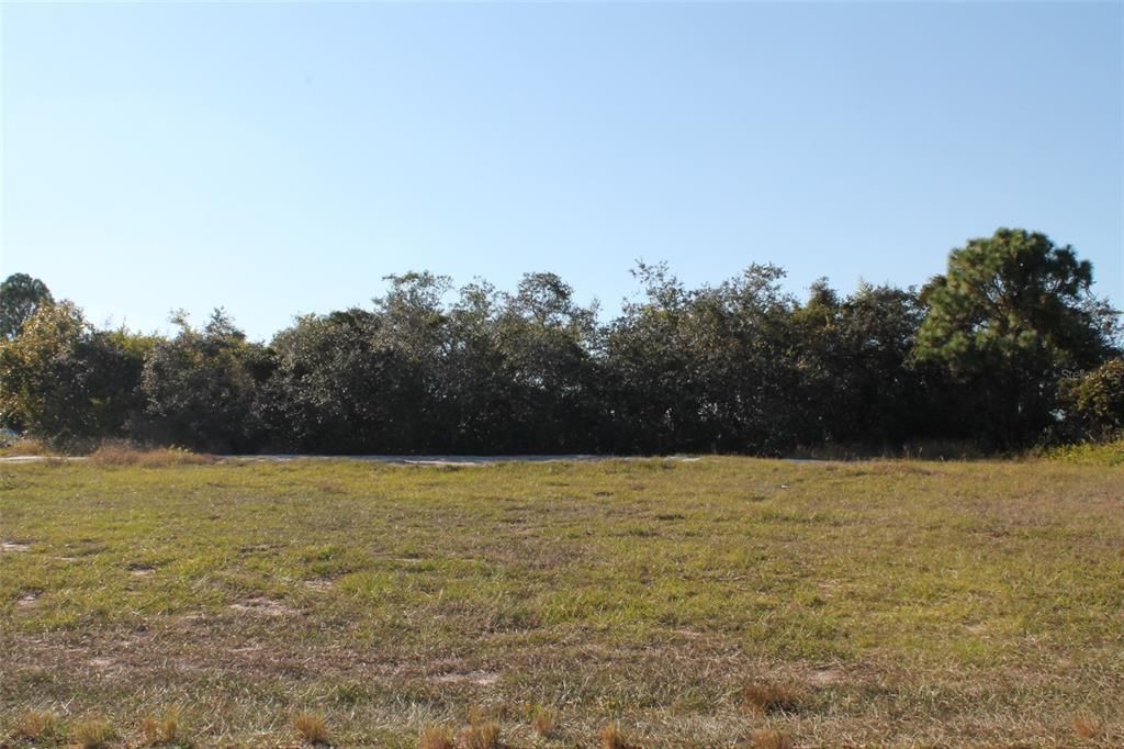 For Sale: $50,000 (0.33 acres)