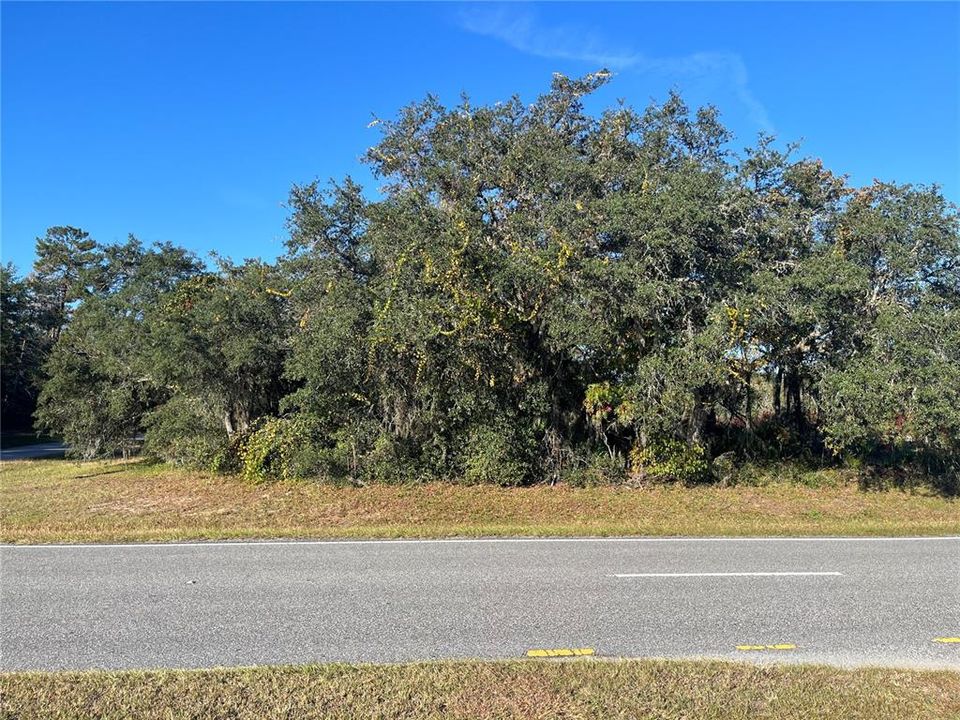 待售: $100,000 (0.72 acres)