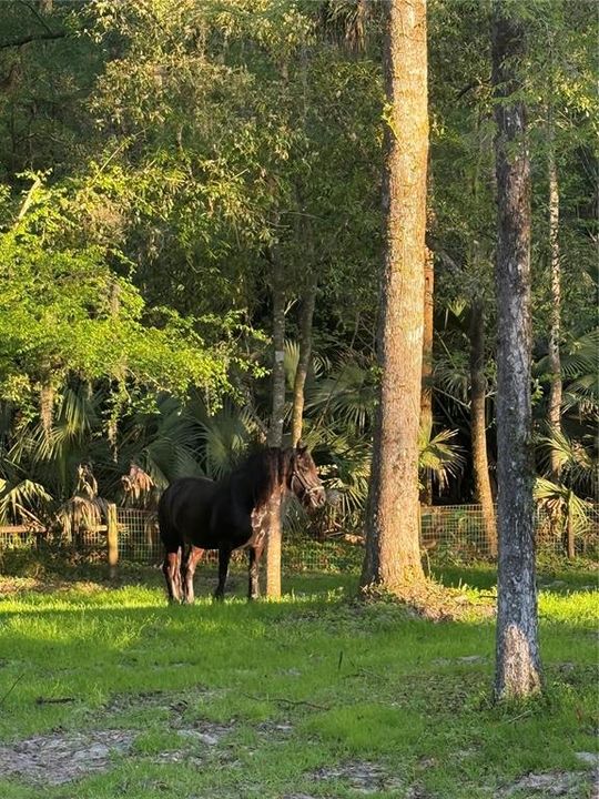 For Sale: $450,000 (3 beds, 2 baths, 1364 Square Feet)