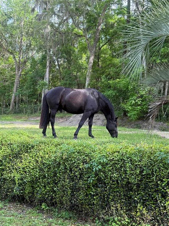 For Sale: $450,000 (3 beds, 2 baths, 1364 Square Feet)