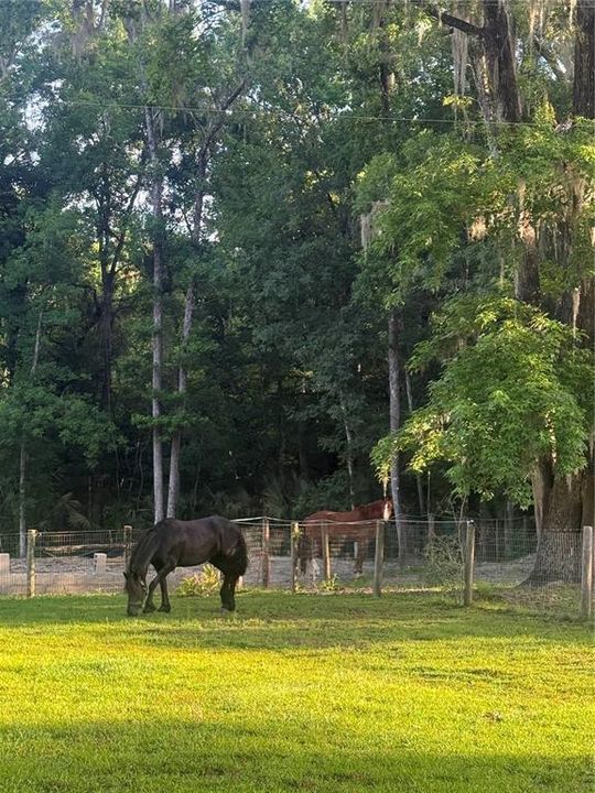 For Sale: $450,000 (3 beds, 2 baths, 1364 Square Feet)