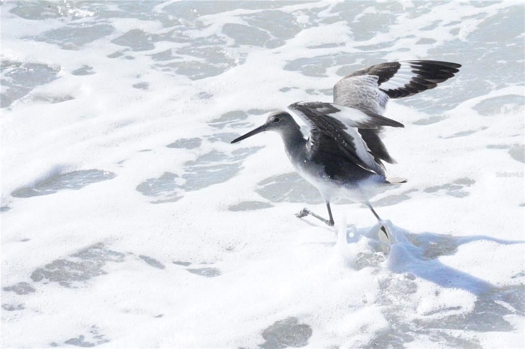 For Sale: $550,000 (2 beds, 2 baths, 1200 Square Feet)