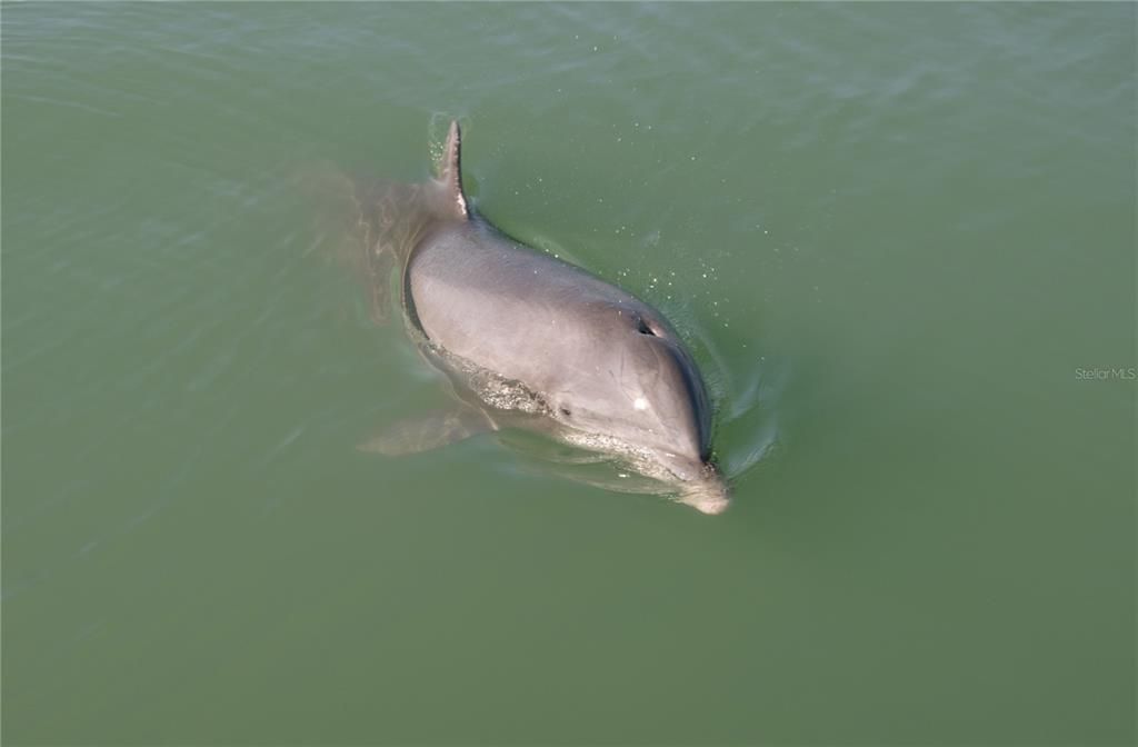 For Sale: $550,000 (2 beds, 2 baths, 1200 Square Feet)