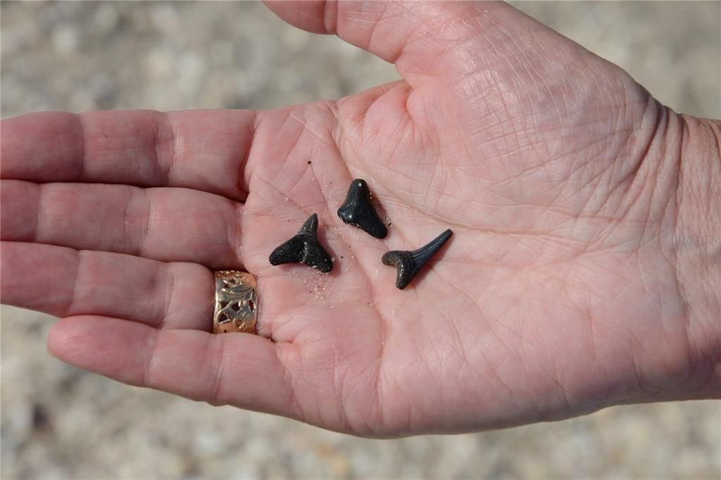 For Sale: $550,000 (2 beds, 2 baths, 1200 Square Feet)