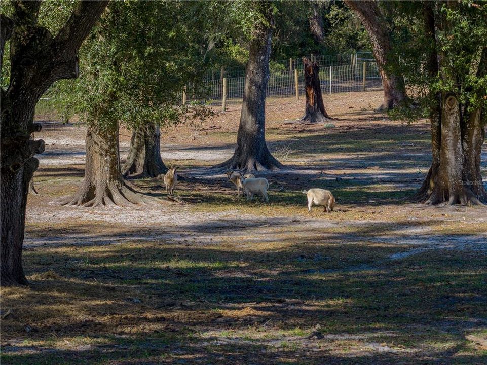 待售: $1,600,000 (6 贝兹, 6 浴室, 4945 平方英尺)