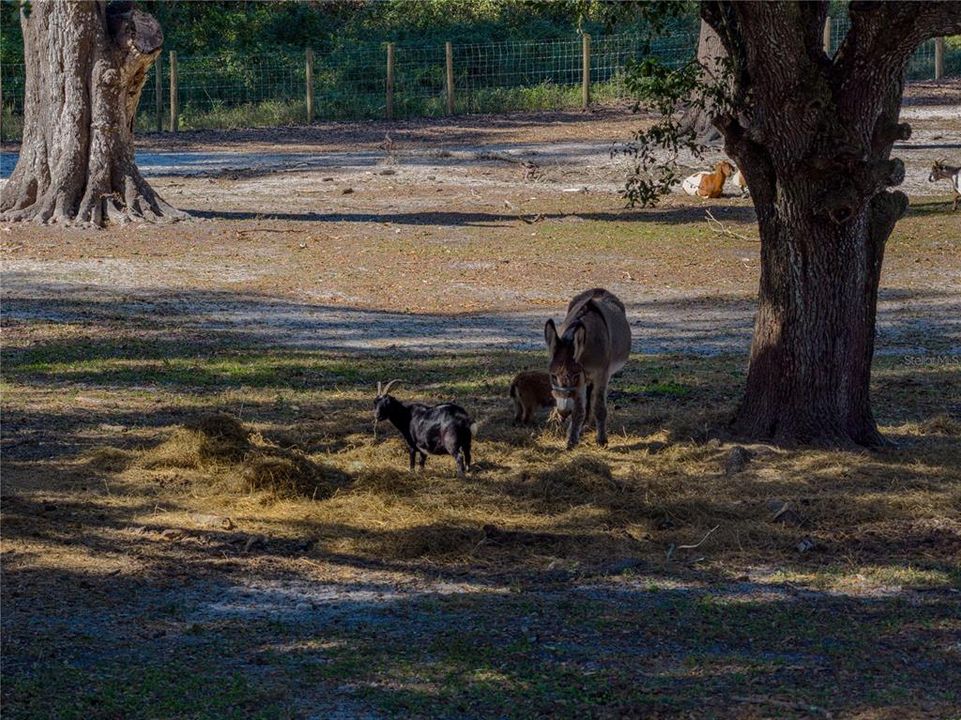 待售: $1,600,000 (6 贝兹, 6 浴室, 4945 平方英尺)