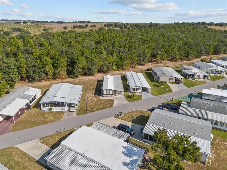 待售: $75,000 (2 贝兹, 1 浴室, 784 平方英尺)