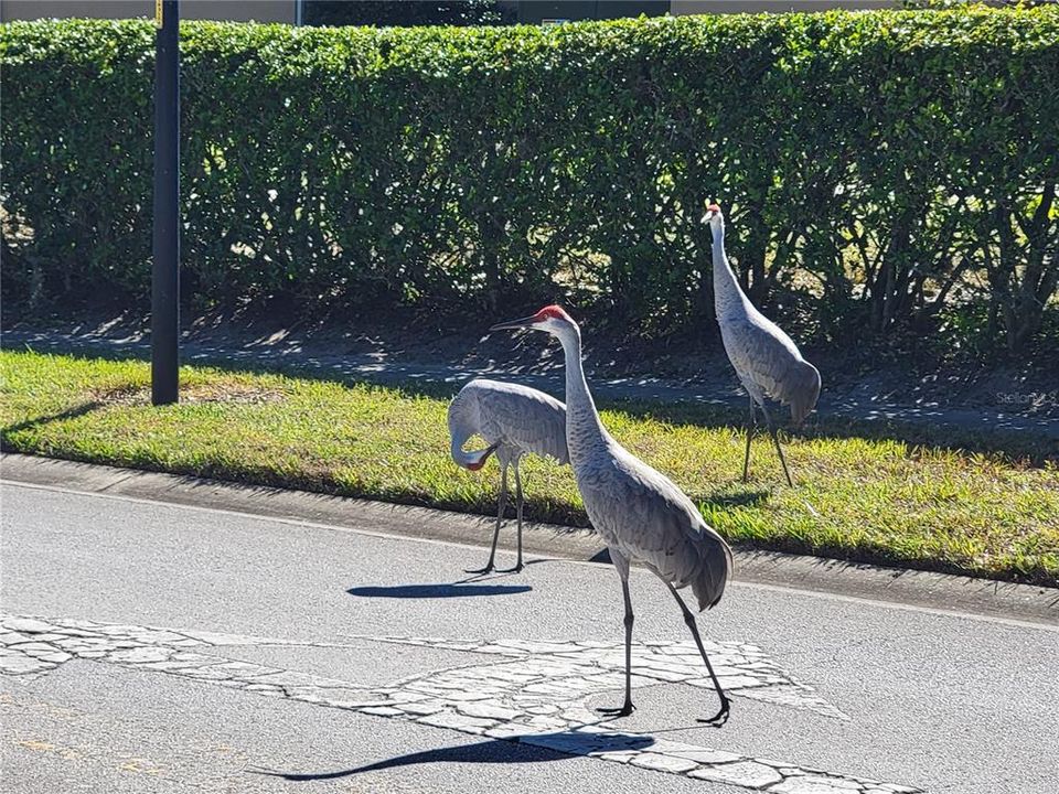 For Sale: $334,900 (2 beds, 2 baths, 1723 Square Feet)