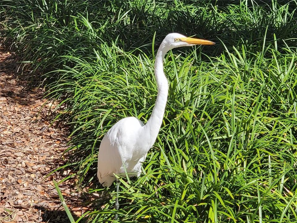 For Sale: $334,900 (2 beds, 2 baths, 1723 Square Feet)