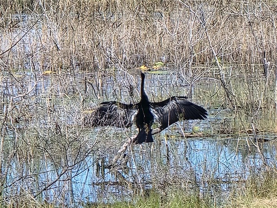 For Sale: $334,900 (2 beds, 2 baths, 1723 Square Feet)