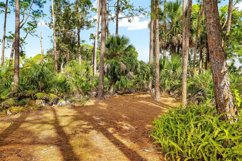 Activo con contrato: $370,000 (3 camas, 2 baños, 2255 Pies cuadrados)