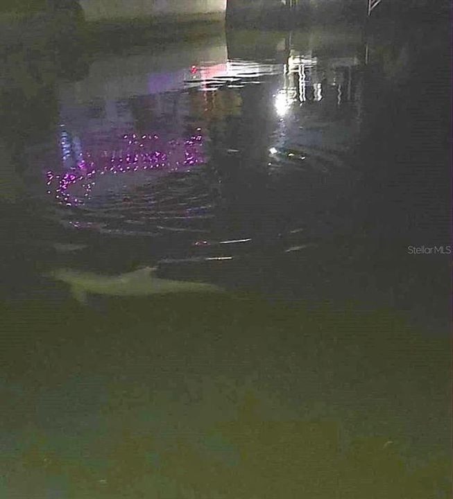 For Sale: $325,000 (2 beds, 1 baths, 768 Square Feet)