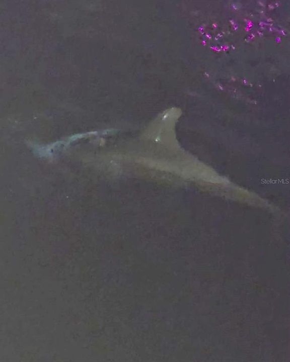 For Sale: $325,000 (2 beds, 1 baths, 768 Square Feet)