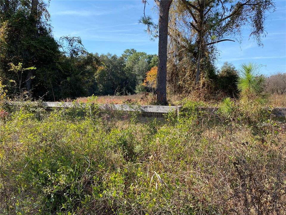 待售: $89,000 (4.10 acres)