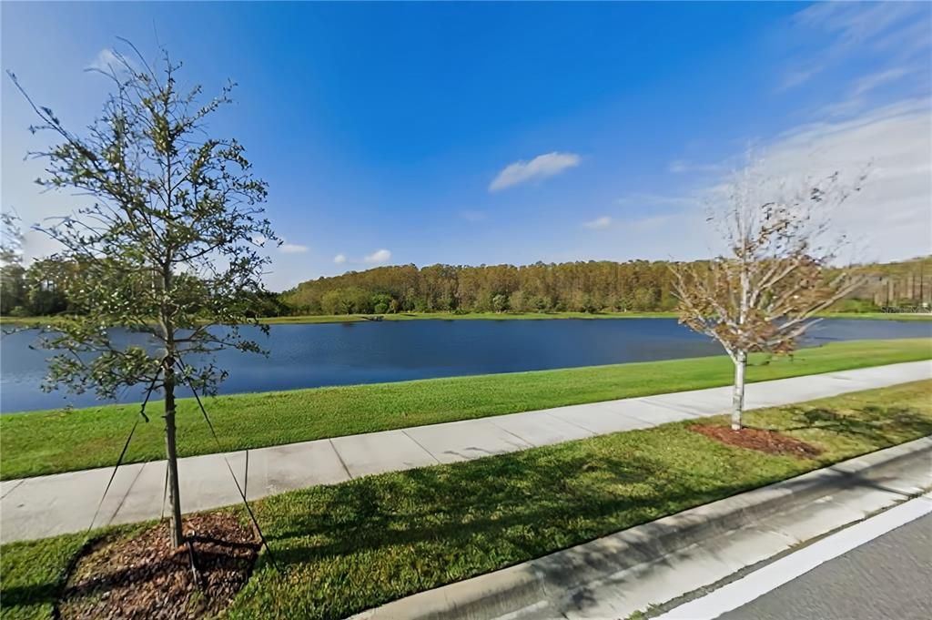 For Sale: $918,000 (8 beds, 5 baths, 4289 Square Feet)