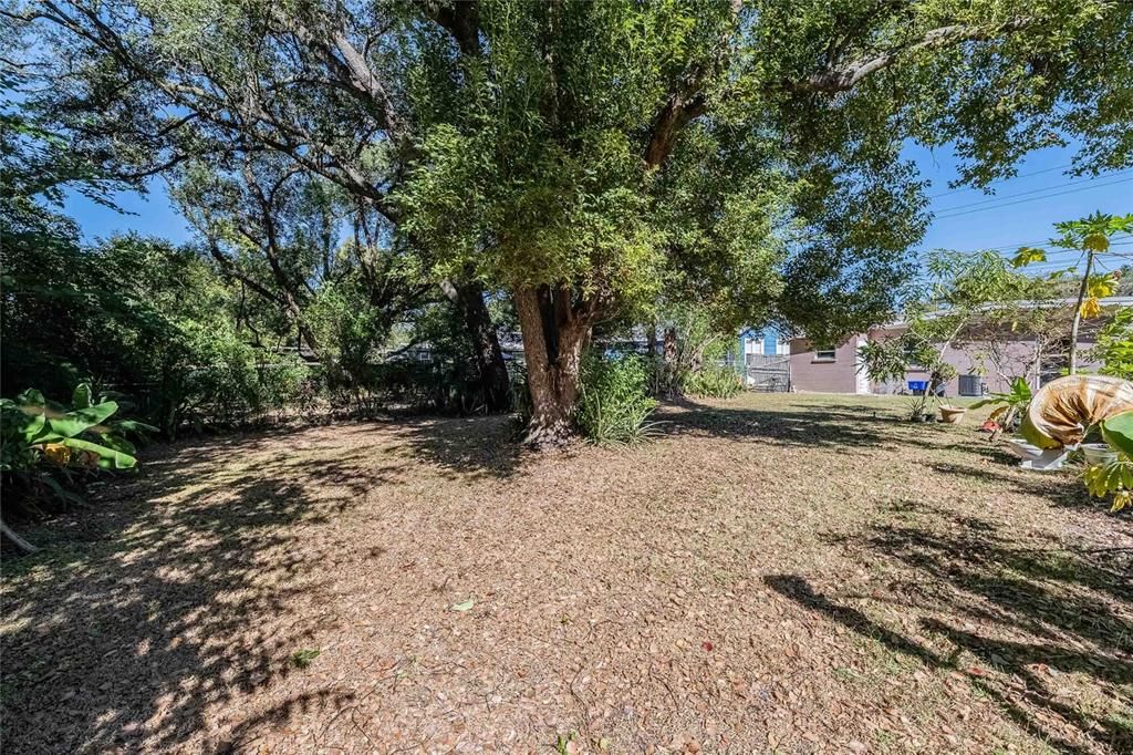 待售: $199,000 (2 贝兹, 1 浴室, 795 平方英尺)