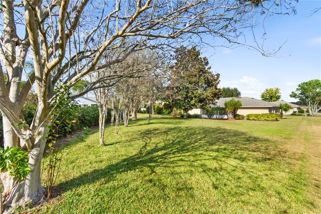 Под контрактом: $299,900 (3 спален, 2 ванн, 1537 Квадратных фут)