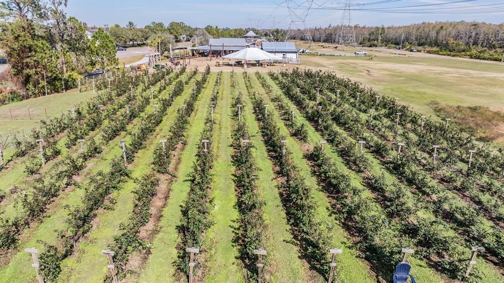 待售: $365,000 (3 贝兹, 2 浴室, 1530 平方英尺)