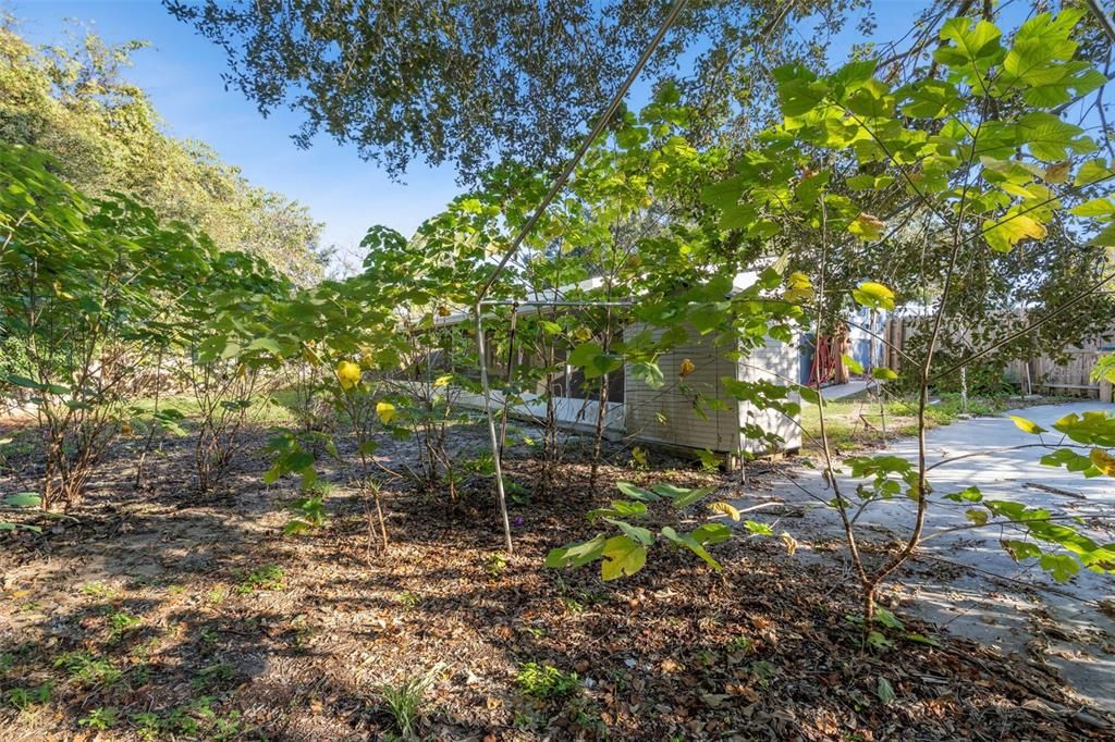 待售: $235,000 (3 贝兹, 2 浴室, 1708 平方英尺)