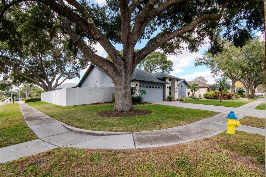 Active With Contract: $431,500 (3 beds, 2 baths, 2000 Square Feet)